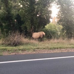 Meet your Posher, Katelyn